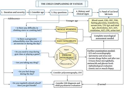 Approach to the child with fatigue: A focus for the general pediatrician